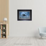 Cormorent in Flight_Photo frame