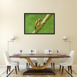 Flameback Wood Pecker_Canvas