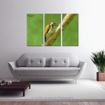 Flameback Wood Pecker_Multi canvas