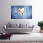 Black Ibis In Flight_Multi canvas