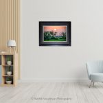 Sunset At Bharathpur_Photo frame